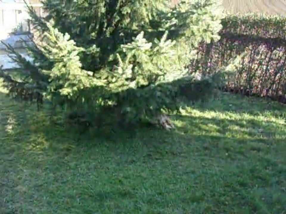 chopper Pétage de plomb