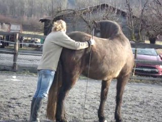 Zaïka & Sayan mi janvier