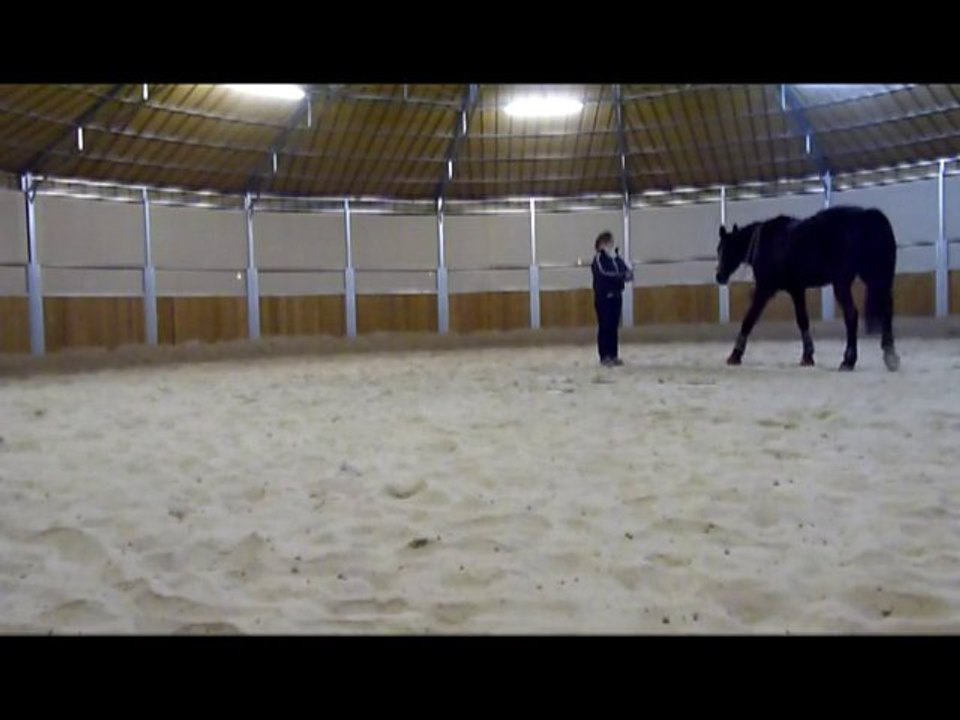 olten 14-15janv2011