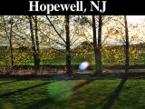 Tree Removal-Trimming Service | Hopewell, NJ