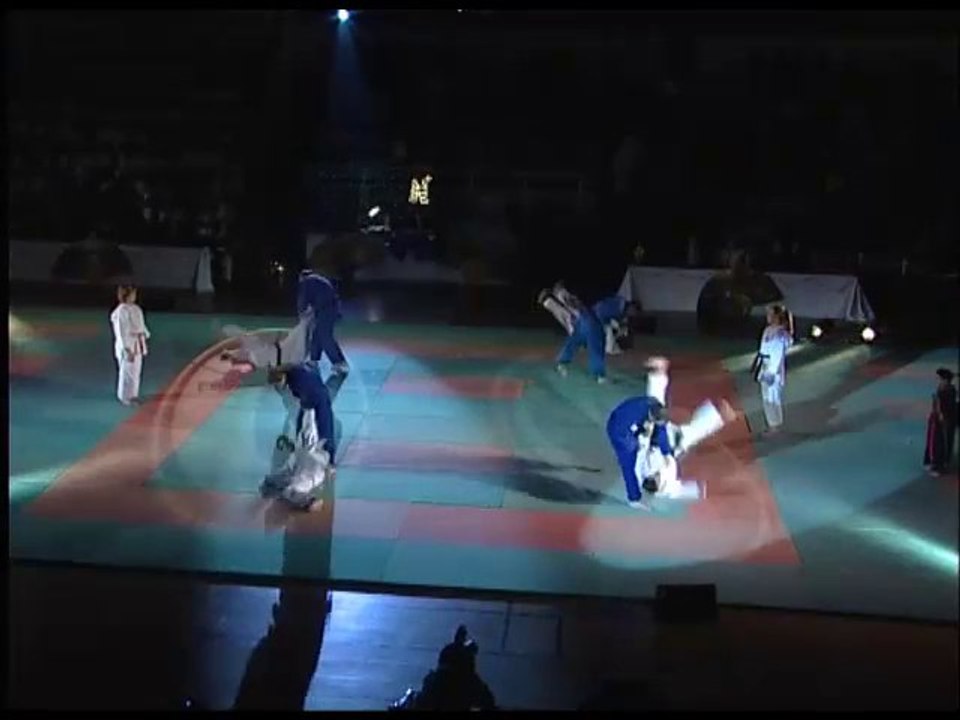 22 janvier 2011 au Palais des sports : gala d'art martiaux