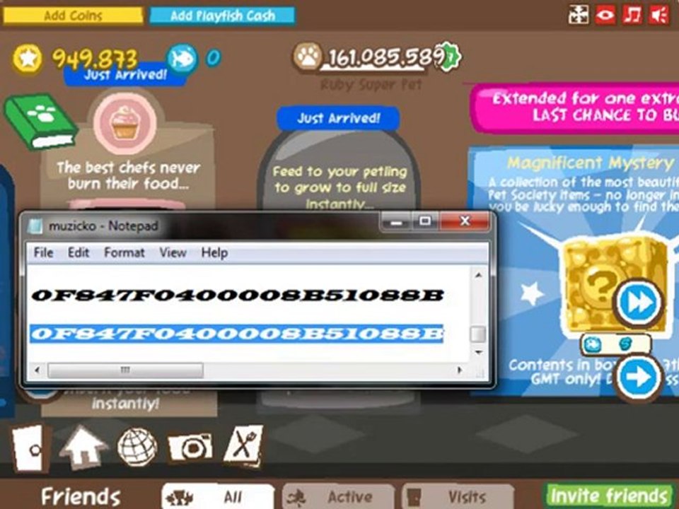 Pet Society New Playfish cash hack ... blue coins cheat ...