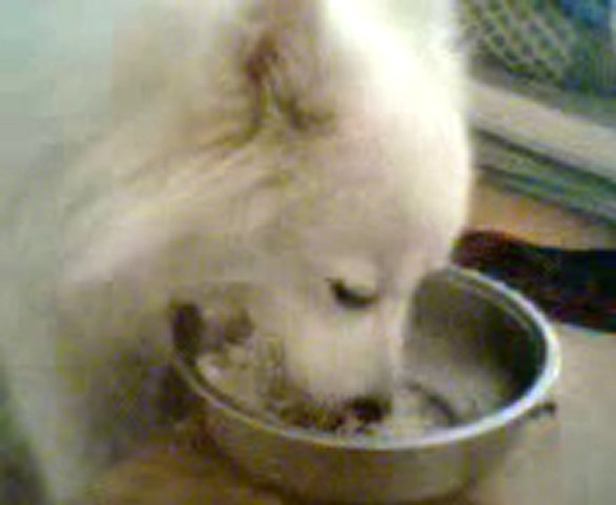 Video0058