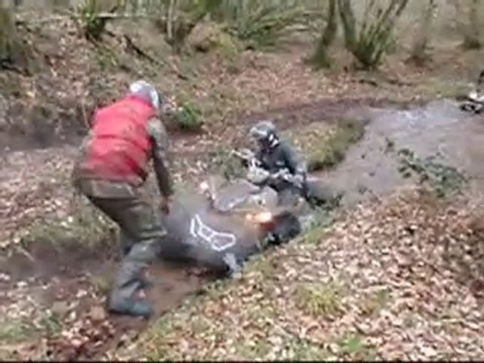 quad22