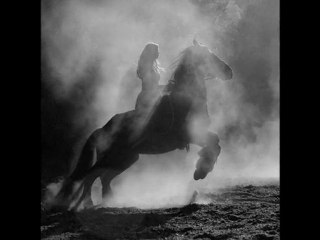 YILDIZ ÇAM - ZALIM POYRAZ GICIM GICIM GICILAR