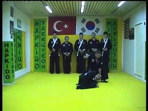 Hapkido savunma ve savaş sanatları . sadık şahin
