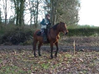 16.01.2011.c.challenge.fauvette