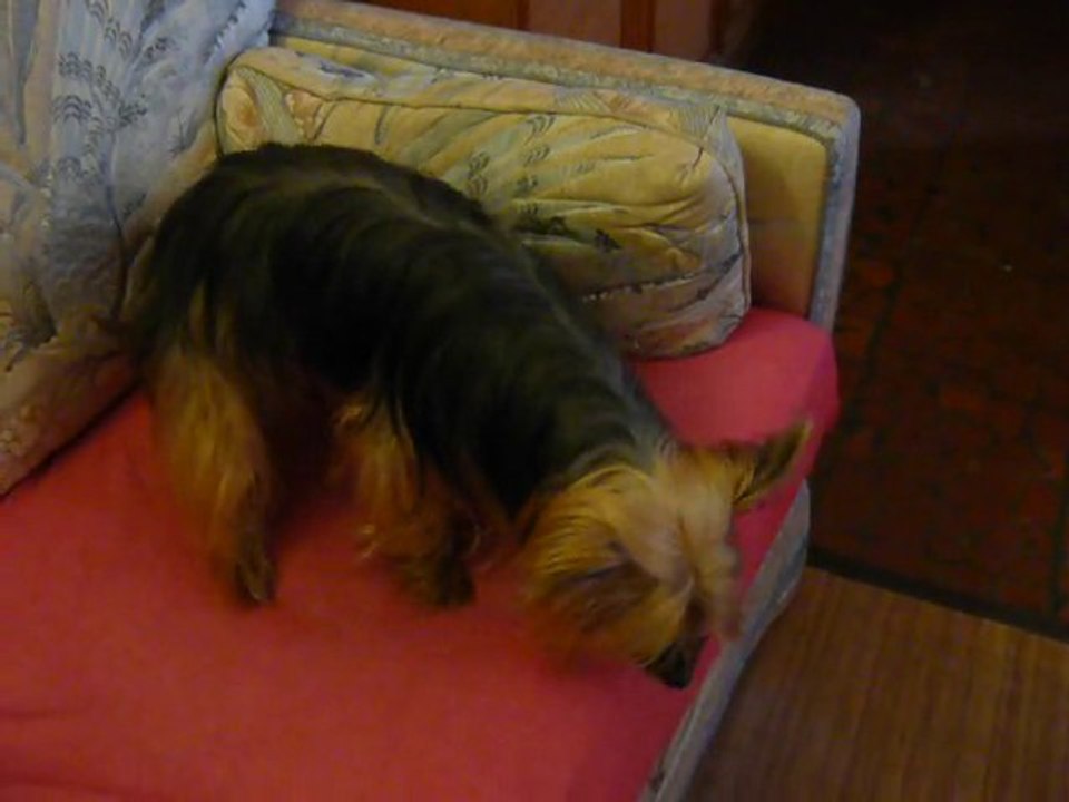 SUE 3