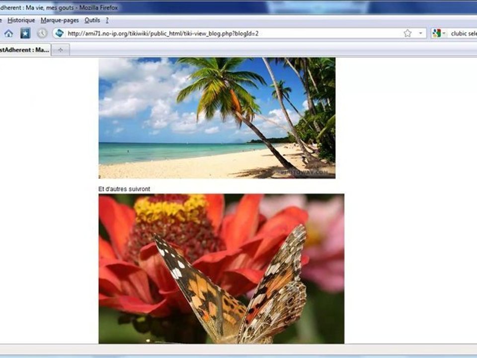 blog