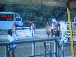 Rainbird -Amélie les Bains