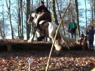 16.01.2011.l.challenge.fauvette