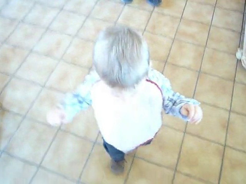 Janvier 2011 Daen marche 2