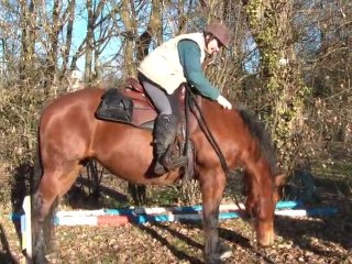 16.01.2011.t.challenge.fauvette