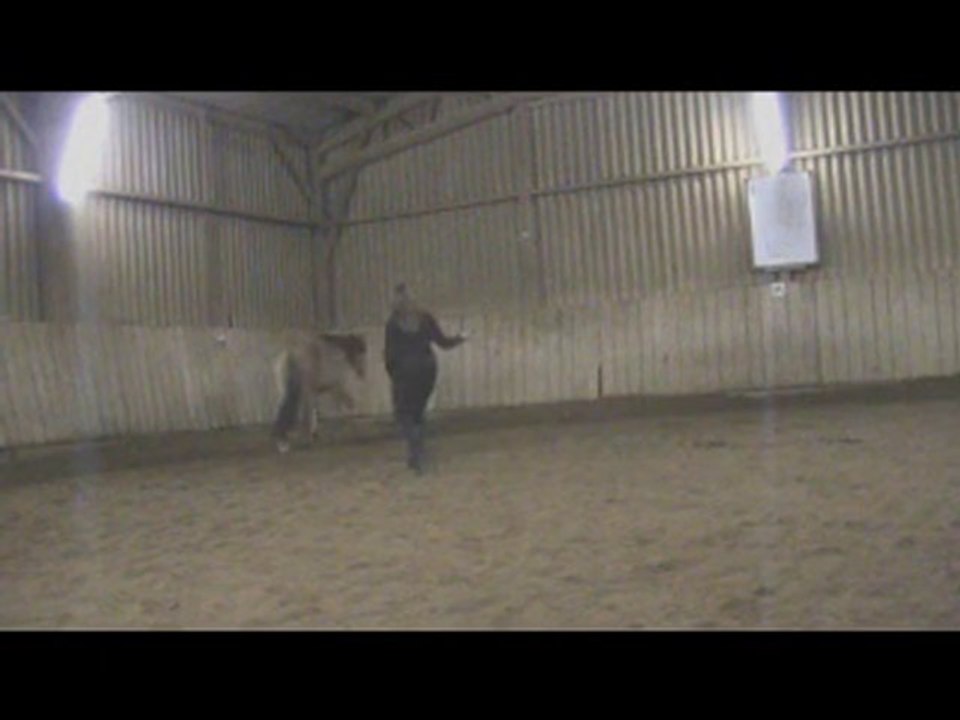 SUN - Séance Ethologie 15 janvier 2011