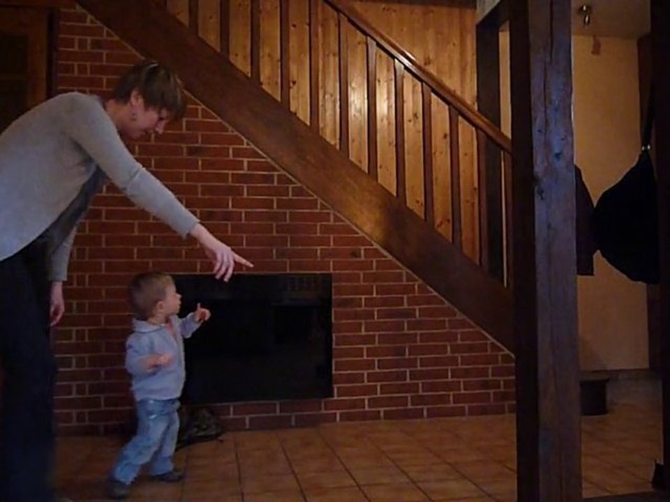 Janvier 2011 Daen marche 3