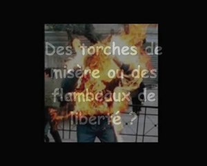 Après la Tunisie, L'ALGERIE  Des torches humaines ambulantes