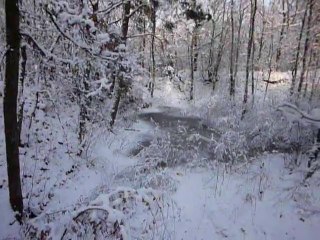 la 1ere sortie dans la poudreuse