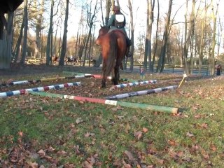 16.01.2011.zb.challenge.fauvette