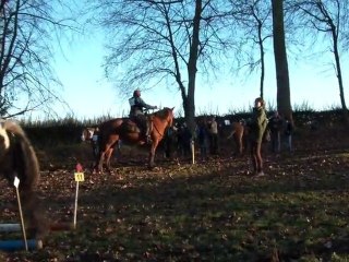 16.01.2011.zc.challenge.fauvette