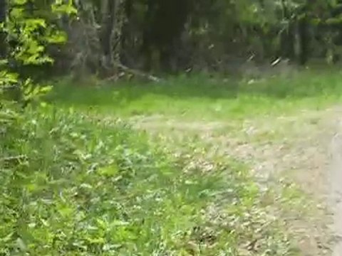 Balade aradienne en Drôme des collines