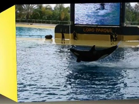 Tenerife aux iles canaries