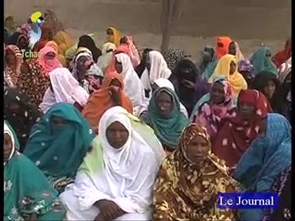 DERNIER JT FRANÇAIS  DU 17/01/2011 TCHADONLINE.TV