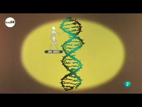 Genetica: Curiosidades cientificas