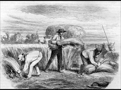 le laboureur et ses enfants-Fable de La Fontaine