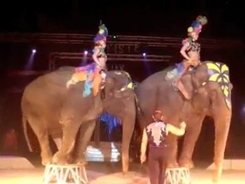Tarbes - La piste aux étoiles fait étape à Tarbes