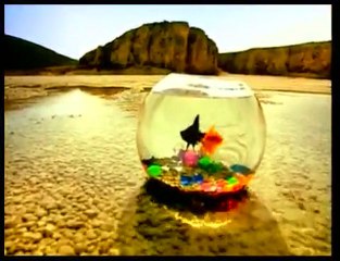 Nurettin Rençber - Ezo