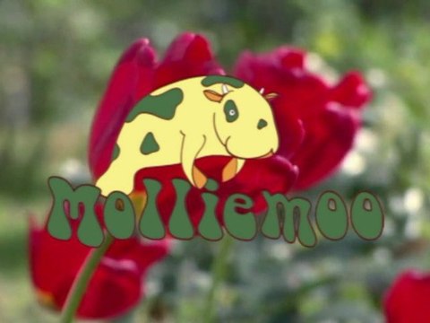 New Organic Baby Gifts from Molliemoo with the Earth in mind