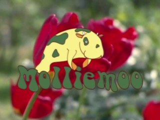 New Organic Baby Gifts from Molliemoo with the Earth in mind