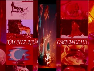 mustafa yıldızdoğan   kızıl  elma