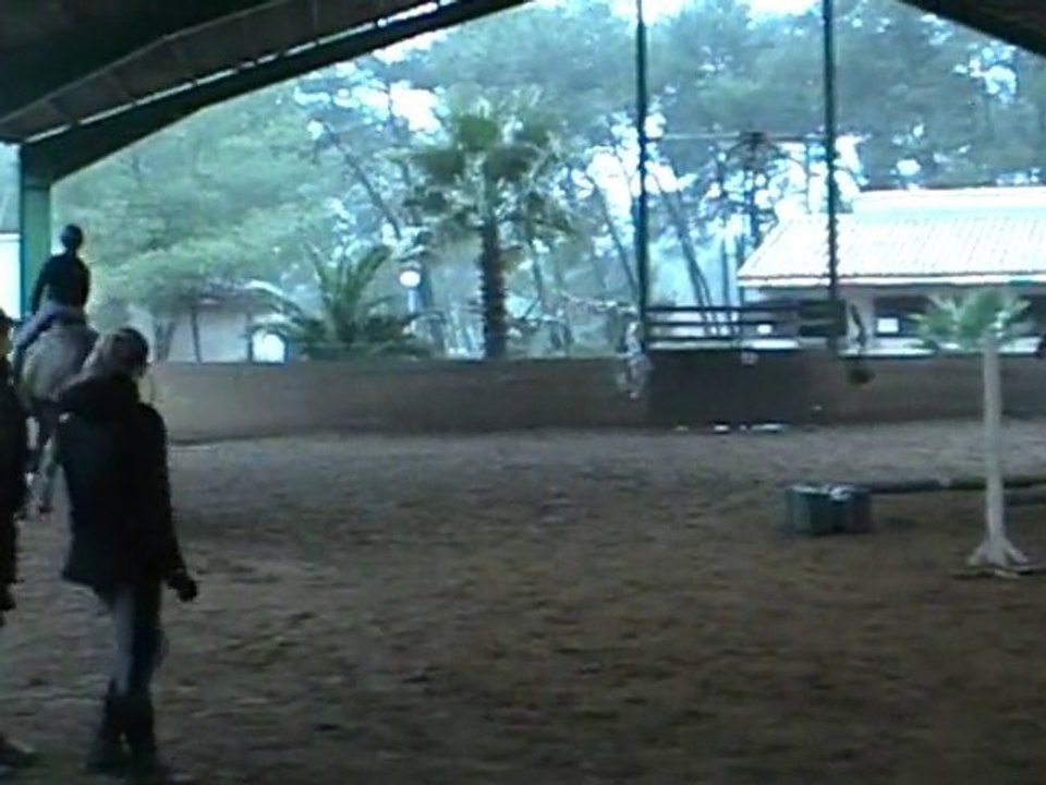 séance de sauts de puce avec King