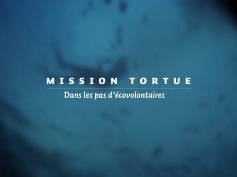 MISSION TORTUE