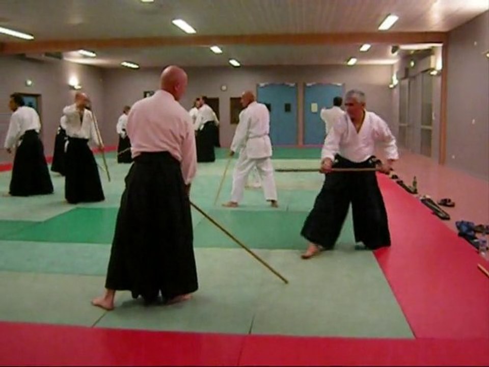 Stage Aikido luc Armenico