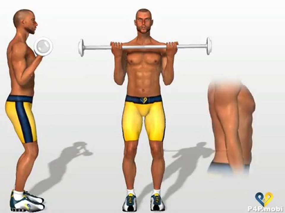 Ayakta Halter Kaldırma / Bükme ~ Standing Barbell Curl