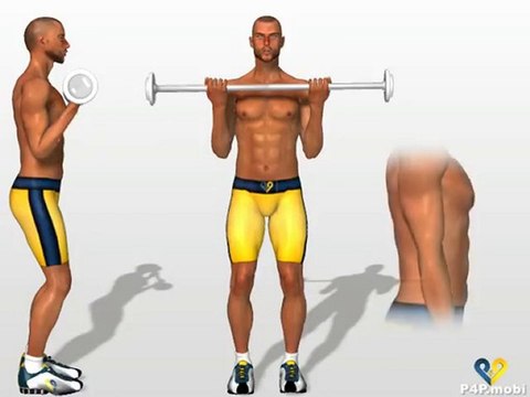 Ayakta Halter Kaldırma / Bükme ~ Standing Barbell Curl