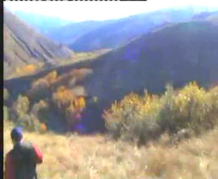 tatvan keklik avı 2009