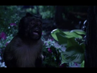 Zookeeper - Bande-Annonce / Teaser Trailer [VOST|HD]