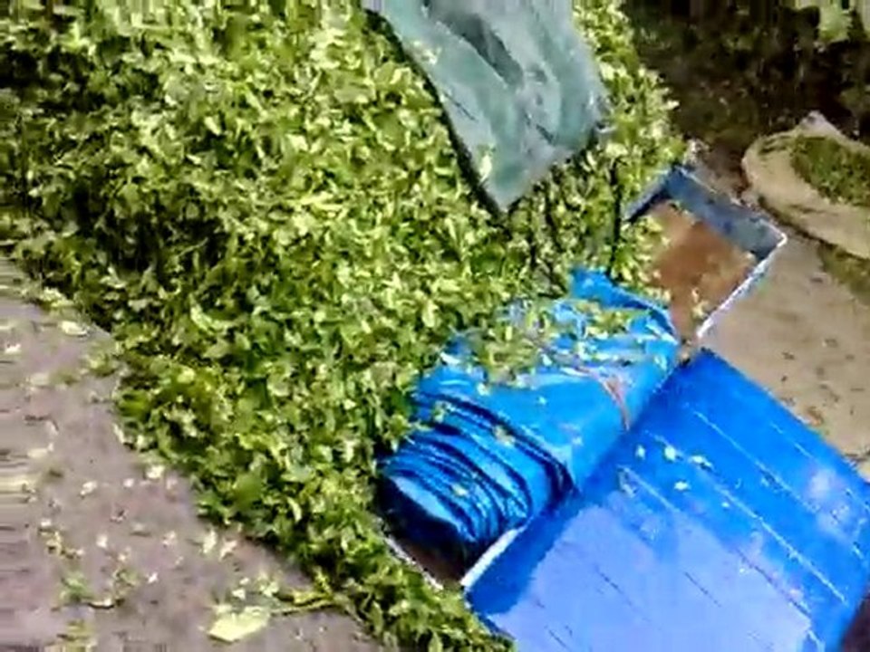 orcay cay yukleme macerasi