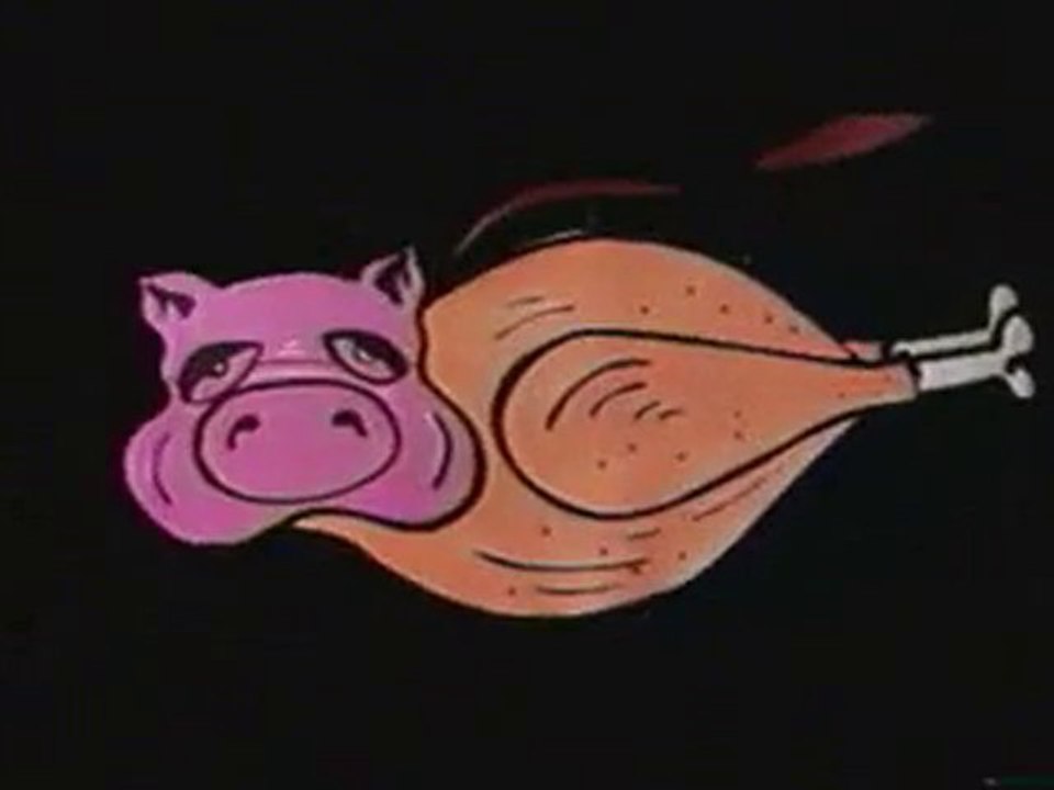 Bruno Salomone  le cochon d'Inde