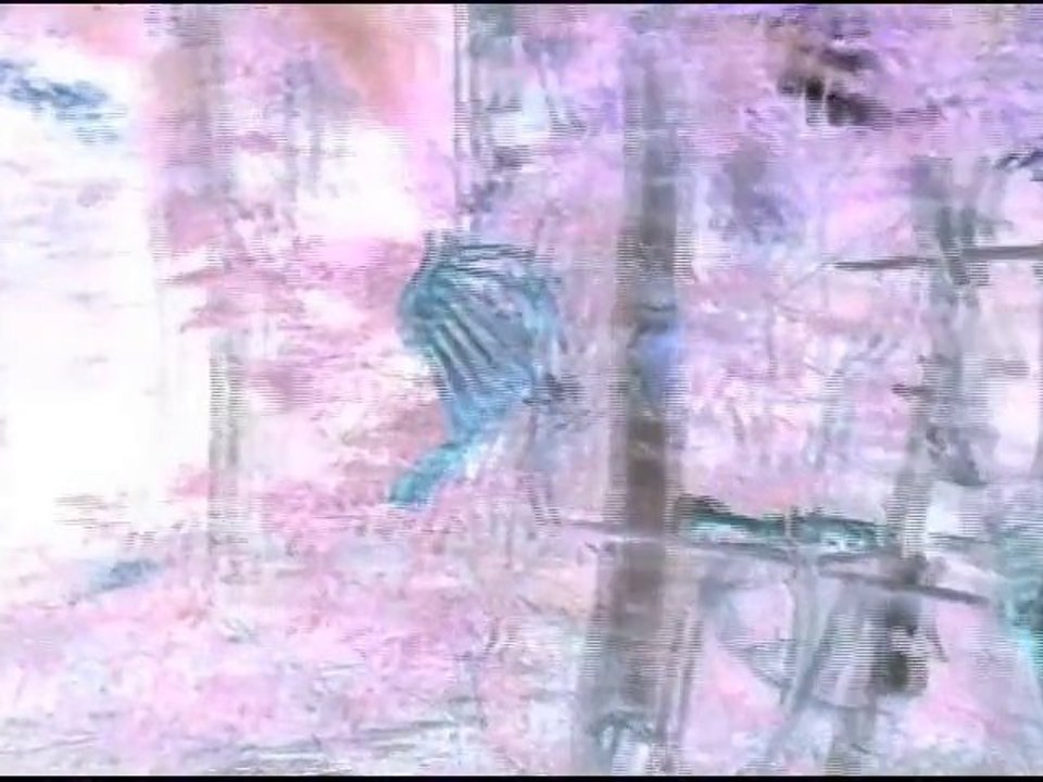 Beauty and the Beast A Dark Tale Movie Trailer video Dailymotion