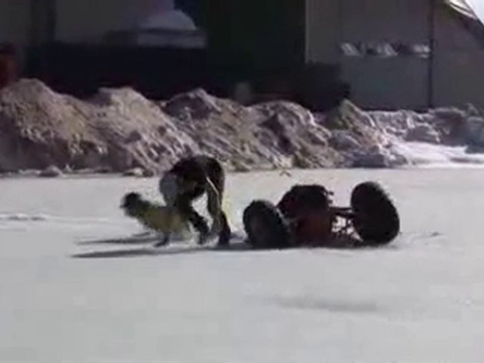 buggyfail
