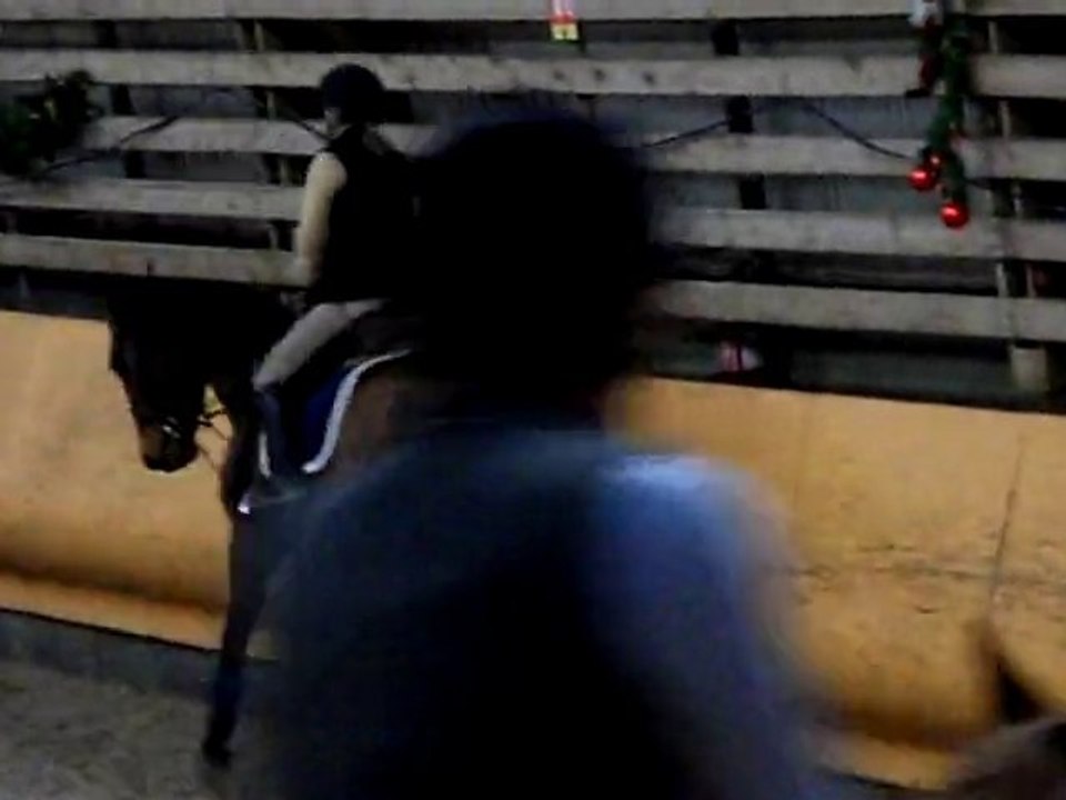 Videos le 09.01.11 003