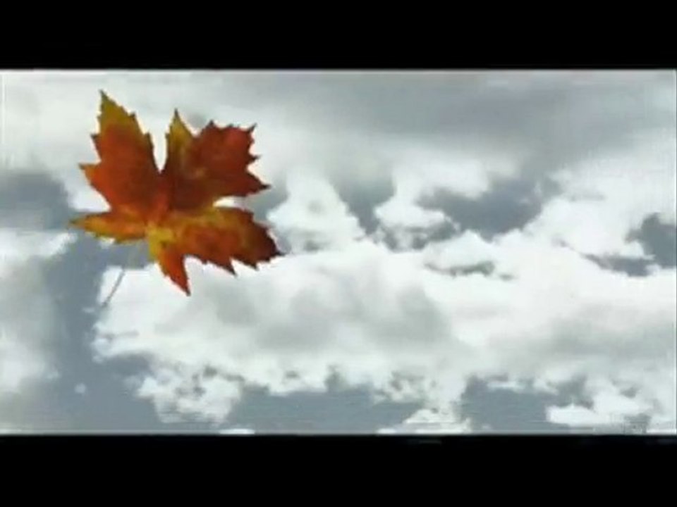 Critique DVD Restrepo