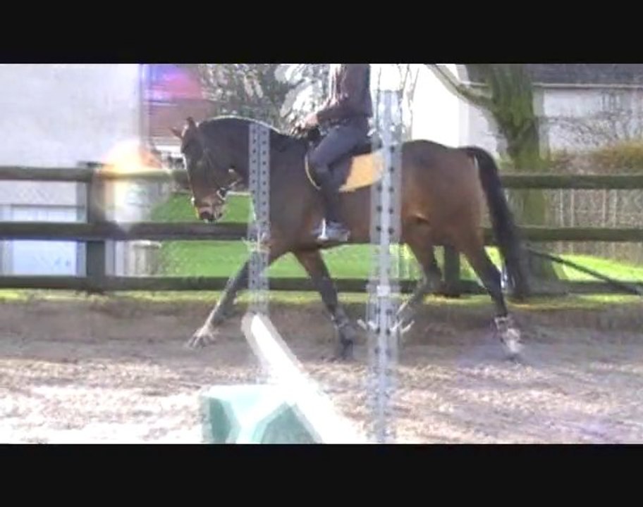 Amiro_20110109