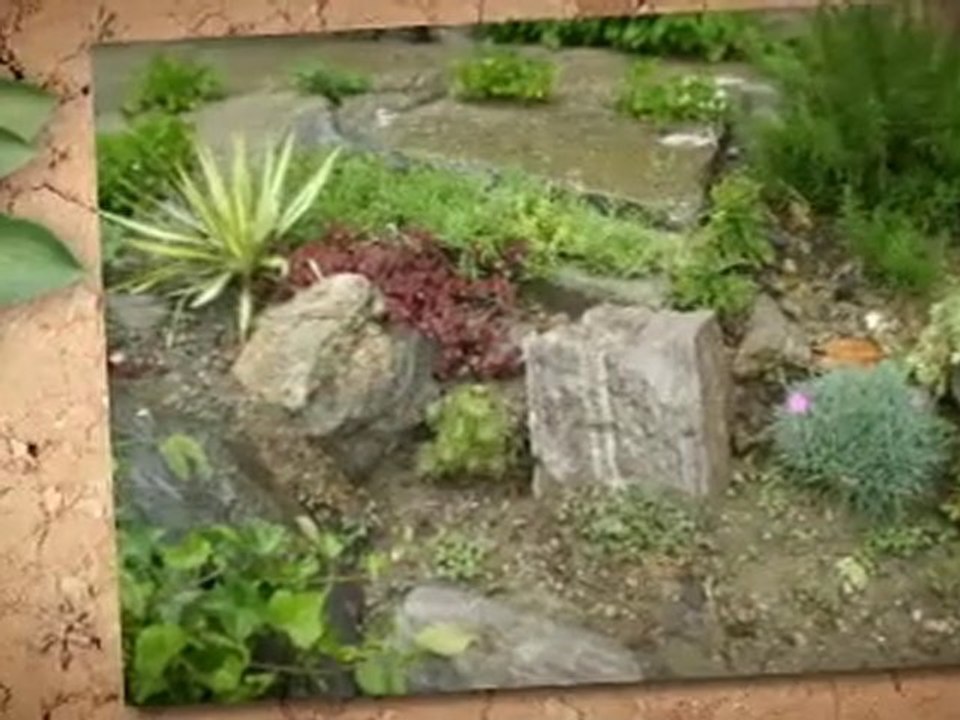 xeriscape yard