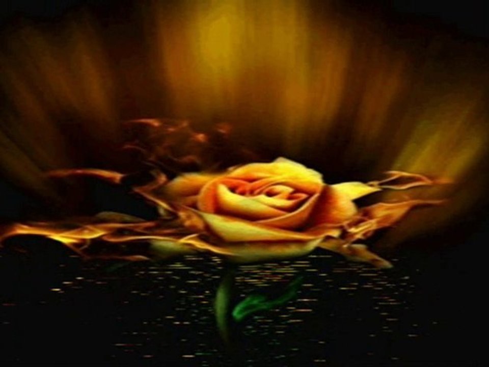 Gönlünden gönlüme  Ney