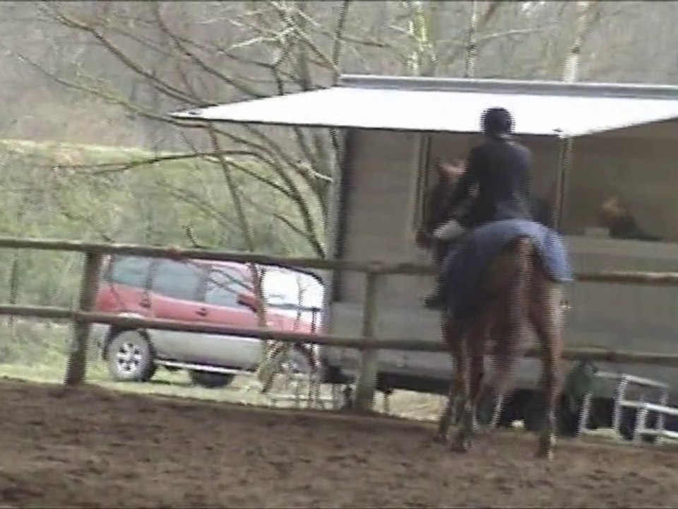 Les Maxous 2 23/01/2011